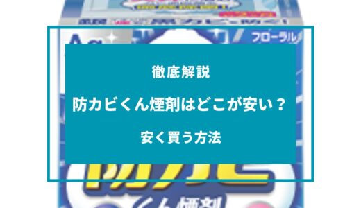 【2024年9月】防カビくん煙剤はどこが安い？安く買う方法