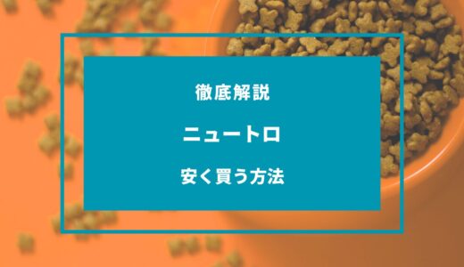 【2024年9月】ニュートロを安く買う方法7選！どこで買うのが安い？